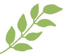 1767689865733647.png 图片 2.png